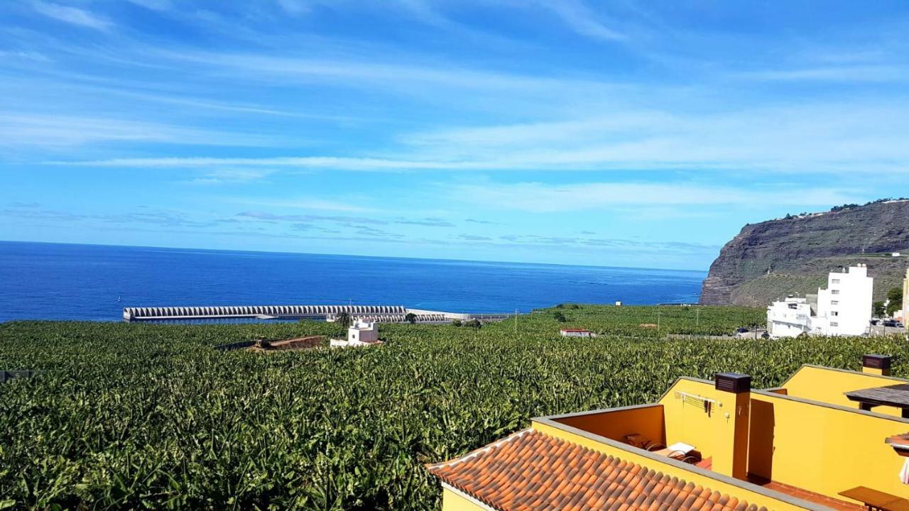 塔扎克蒂La Palmita Sunset公寓 外观 照片